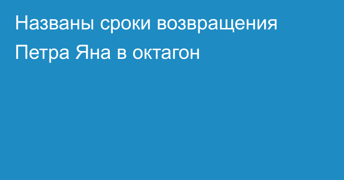 Названы сроки возвращения Петра Яна в октагон