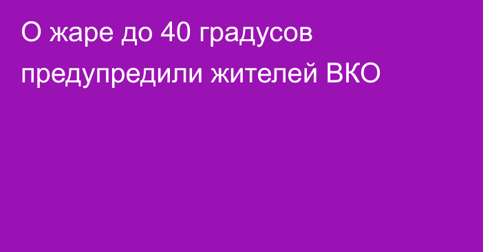 О жаре до 40 градусов предупредили жителей ВКО