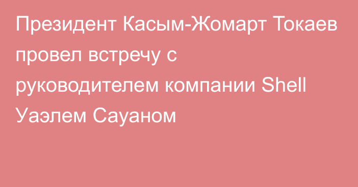 Президент Касым-Жомарт Токаев провел встречу с руководителем компании Shell Уаэлем Сауаном