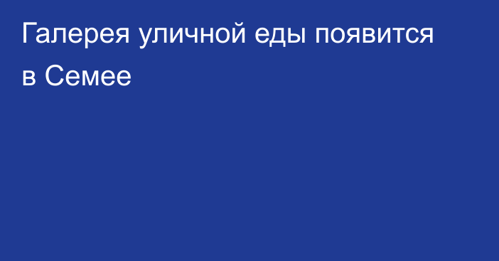 Галерея уличной еды появится в Семее