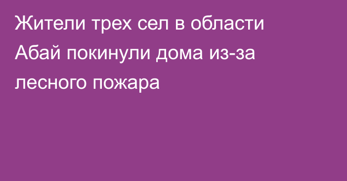 Жители трех сел в области Абай покинули дома из-за лесного пожара