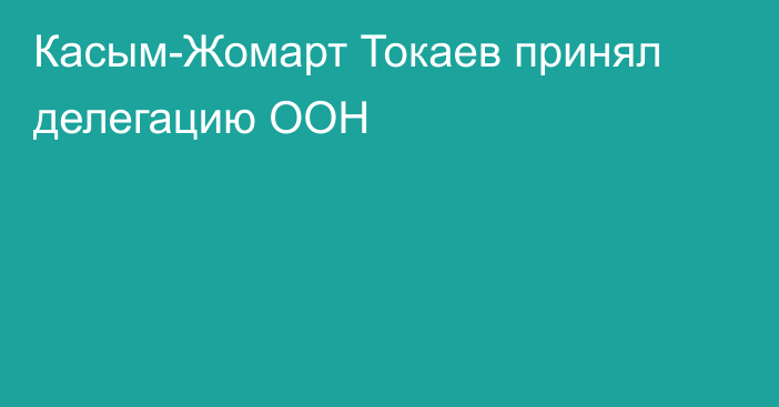 Касым-Жомарт Токаев принял делегацию ООН