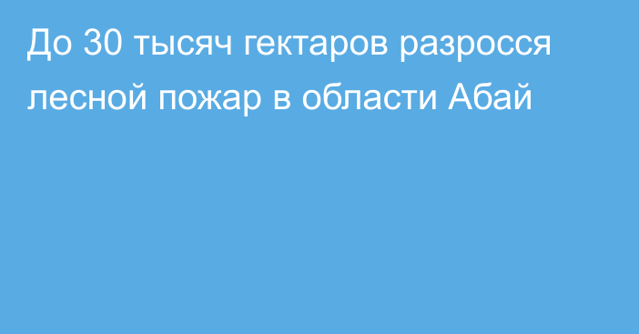 До 30 тысяч гектаров разросся лесной пожар в области Абай