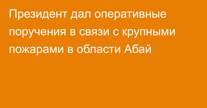 Президент дал оперативные поручения в связи с крупными пожарами в области Абай