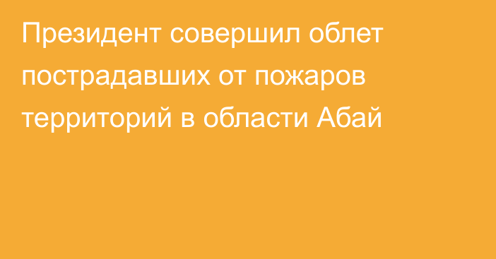 Президент совершил облет пострадавших от пожаров территорий в области Абай