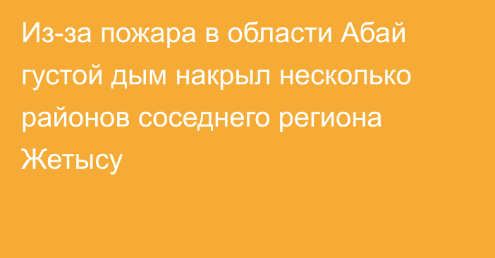 Из-за пожара в области Абай густой дым накрыл несколько районов соседнего региона Жетысу