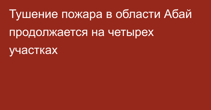 Тушение пожара в области Абай продолжается на четырех участках