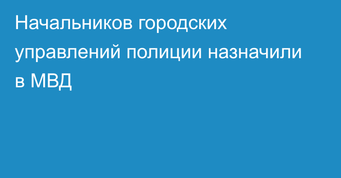 Начальников городских управлений полиции назначили в МВД