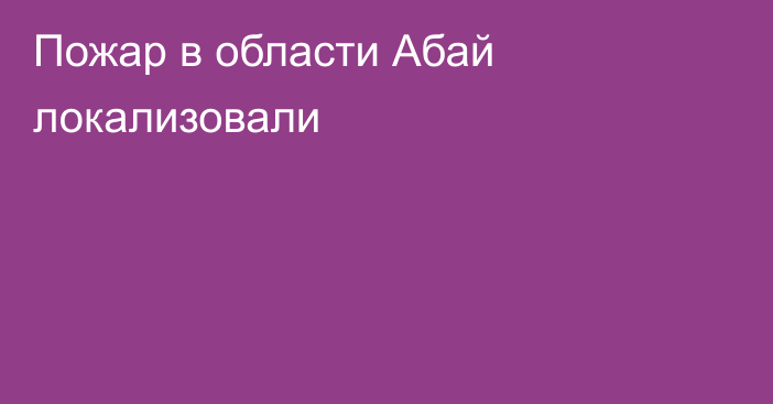 Пожар в области Абай локализовали