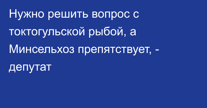 Нужно решить вопрос с токтогульской рыбой, а Минсельхоз препятствует, - депутат