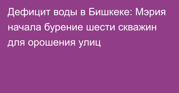 Дефицит воды в Бишкеке: Мэрия начала бурение шести скважин для орошения улиц