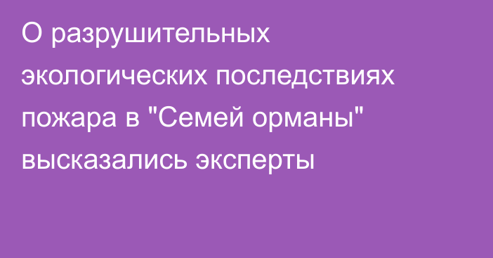 О разрушительных экологических последствиях пожара в 