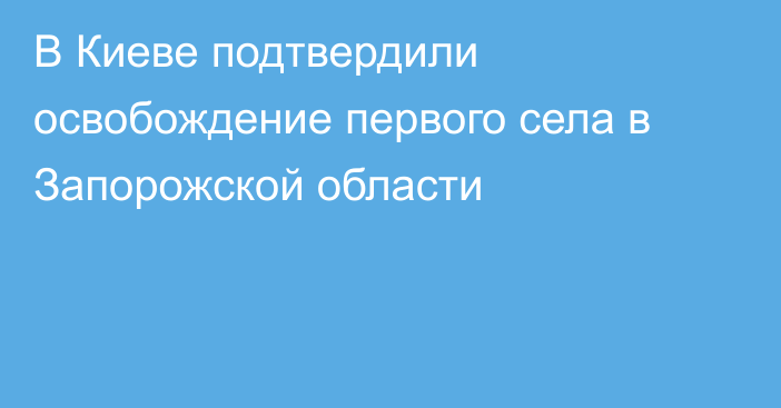 В Киеве подтвердили освобождение первого села в Запорожской области