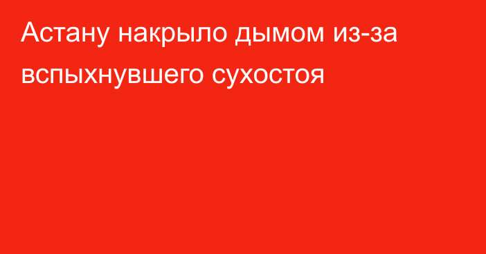 Астану накрыло дымом из-за вспыхнувшего сухостоя