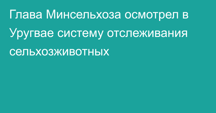 Глава Минсельхоза осмотрел в Уругвае систему отслеживания сельхозживотных