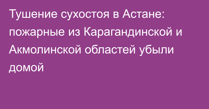 Тушение сухостоя в Астане: пожарные из Карагандинской и Акмолинской областей убыли домой