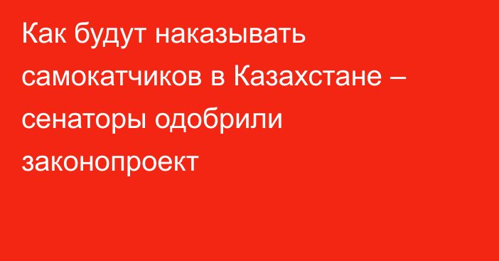 Как будут наказывать самокатчиков в Казахстане – сенаторы одобрили законопроект