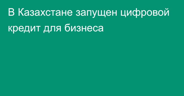 В Казахстане запущен цифровой кредит для бизнеса