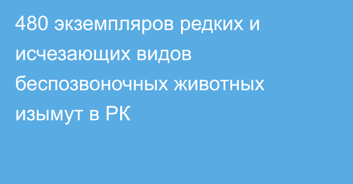 480 экземпляров редких и исчезающих видов беспозвоночных животных изымут в РК