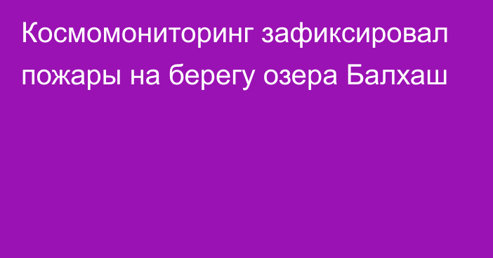 Космомониторинг зафиксировал пожары на берегу озера Балхаш