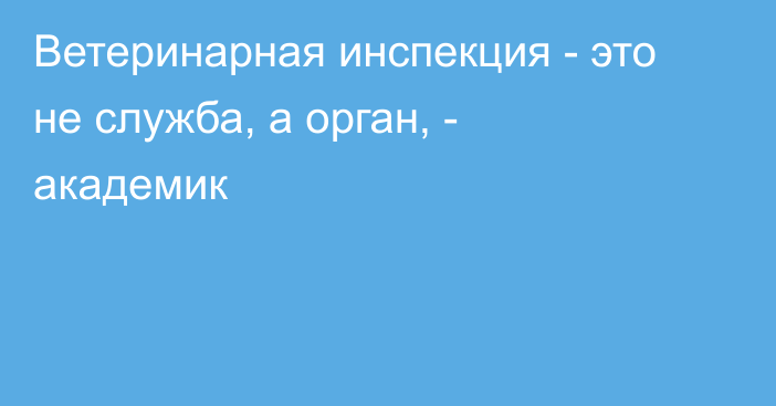 Ветеринарная инспекция - это не служба, а орган, - академик