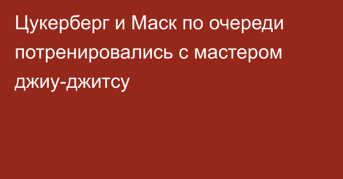 Цукерберг и Маск по очереди потренировались с мастером джиу-джитсу