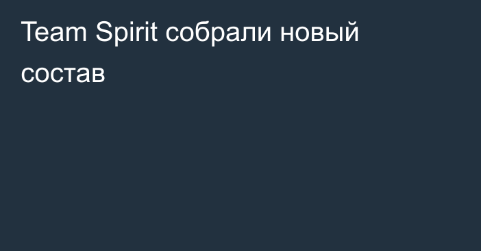 Team Spirit собрали новый состав