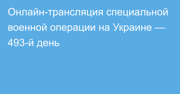 Онлайн-трансляция специальной военной операции на Украине — 493-й день