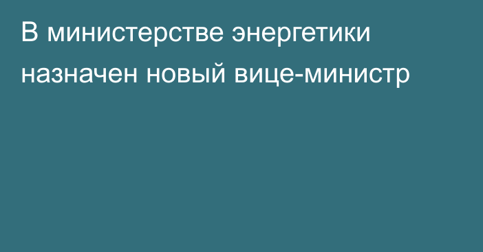 В министерстве энергетики назначен новый вице-министр