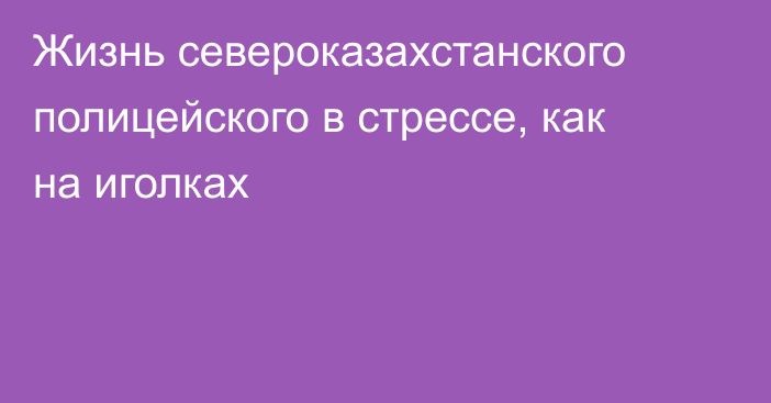 Жизнь североказахстанского полицейского в стрессе, как на иголках