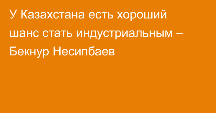 У Казахстана есть хороший шанс стать индустриальным – Бекнур Несипбаев