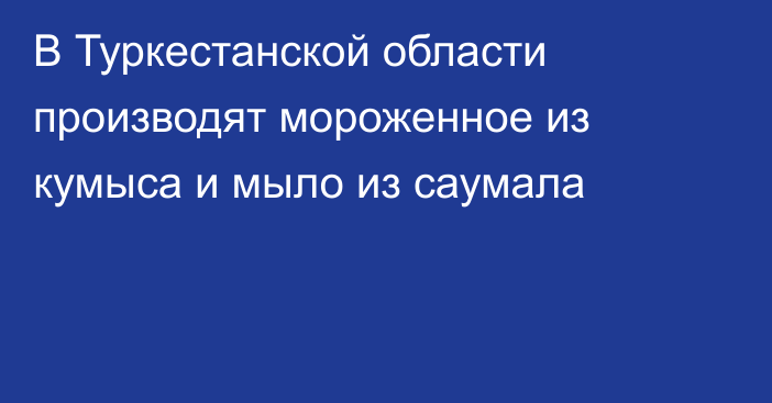 В Туркестанской области производят мороженное из кумыса и мыло из саумала