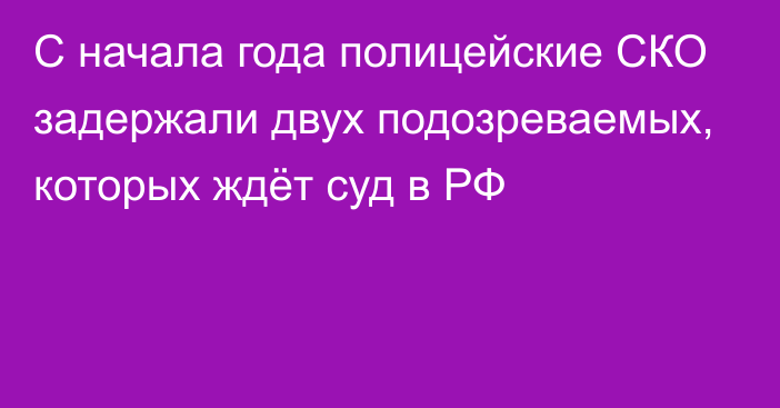 С начала года полицейские СКО задержали двух подозреваемых, которых ждёт суд в РФ