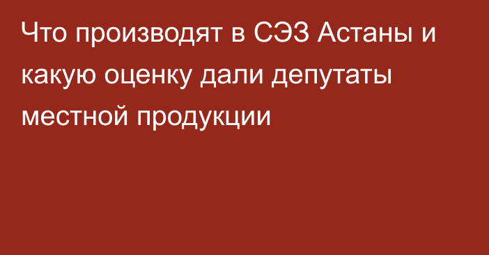 Что производят в СЭЗ Астаны и какую оценку дали депутаты местной продукции