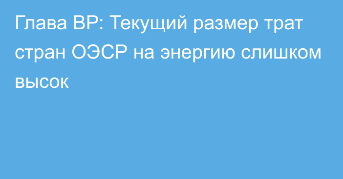 Глава ВР: Текущий размер трат стран ОЭСР на энергию слишком высок