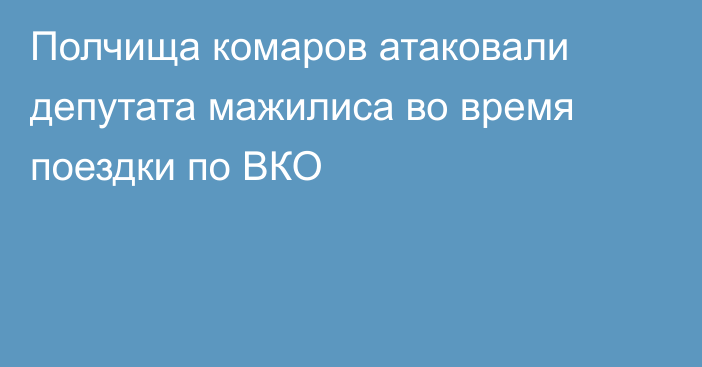 Полчища комаров атаковали депутата мажилиса во время поездки по ВКО