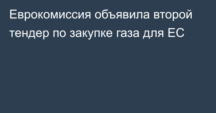 Еврокомиссия объявила второй тендер по закупке газа для ЕС