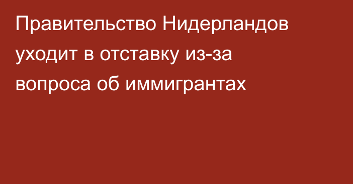 Правительство Нидерландов уходит в отставку из-за вопроса об иммигрантах