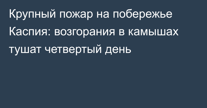 Крупный пожар на побережье Каспия: возгорания в камышах тушат четвертый день