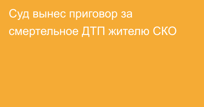 Суд вынес приговор за смертельное ДТП жителю СКО