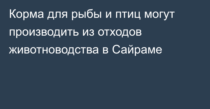 Корма для рыбы и птиц могут производить из отходов животноводства в Сайраме