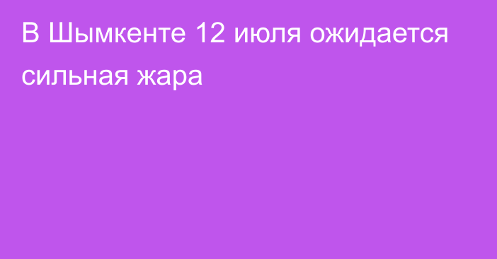 В Шымкенте 12 июля ожидается сильная жара