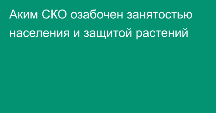 Аким СКО озабочен занятостью населения и защитой растений