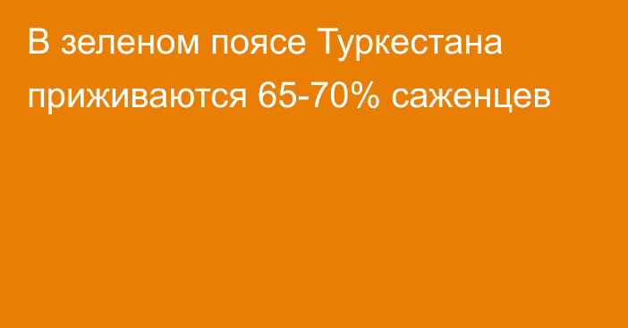 В зеленом поясе Туркестана приживаются 65-70% саженцев