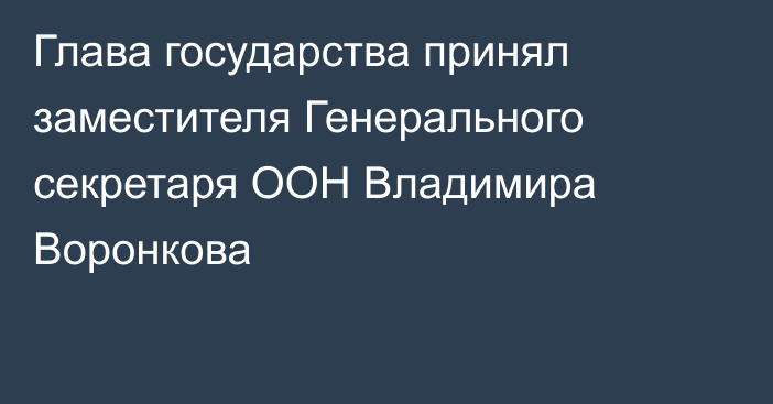 Глава государства принял заместителя Генерального секретаря ООН Владимира Воронкова