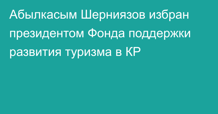 Абылкасым Шерниязов избран президентом Фонда поддержки развития туризма в КР