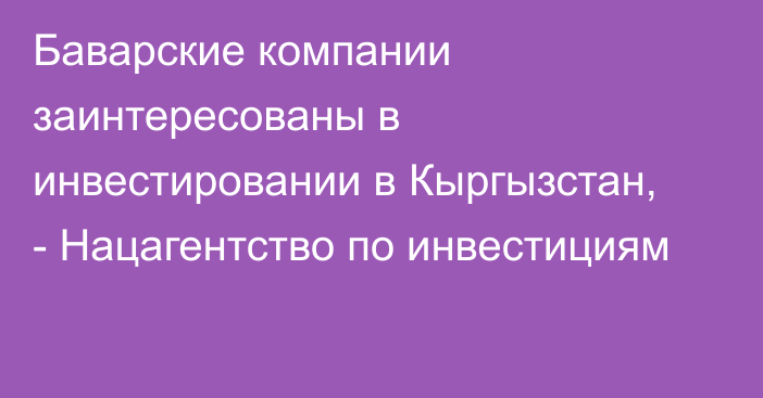 Баварские компании заинтересованы в инвестировании в Кыргызстан, - Нацагентство по инвестициям