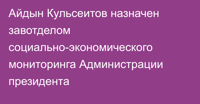 Айдын Кульсеитов назначен завотделом социально-экономического мониторинга Администрации президента