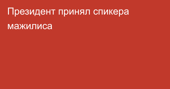 Президент принял спикера мажилиса