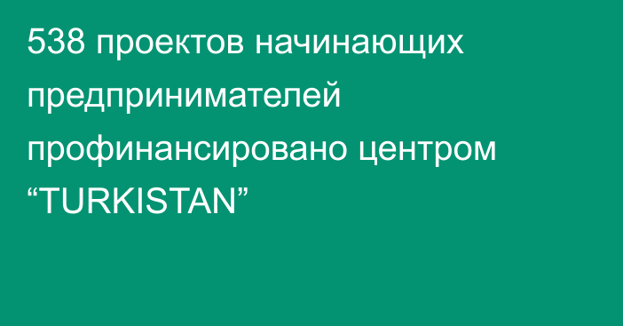 538 проектов начинающих предпринимателей профинансировано центром “TURKISTAN”